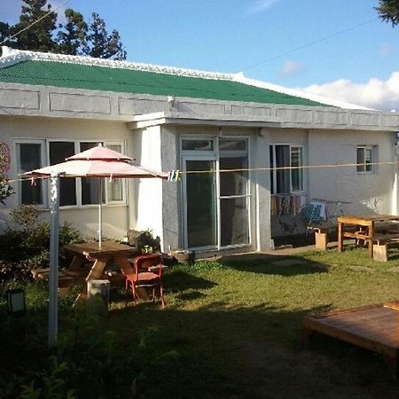 Sheelddi Pension Seogwipo Bagian luar foto