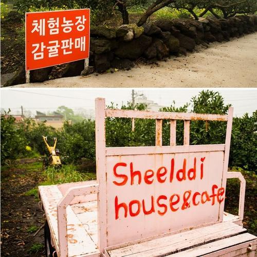 Sheelddi Pension Seogwipo Bagian luar foto
